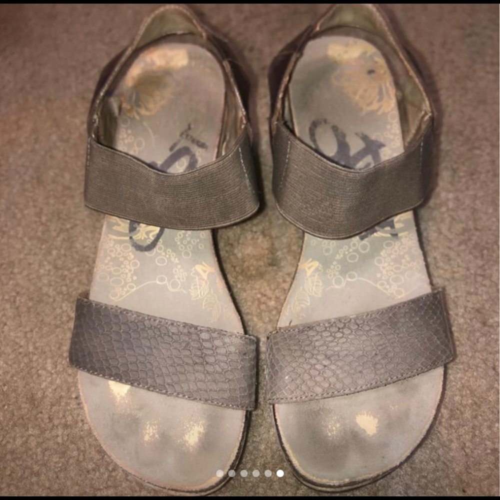 OTBT Wedges Bushnell